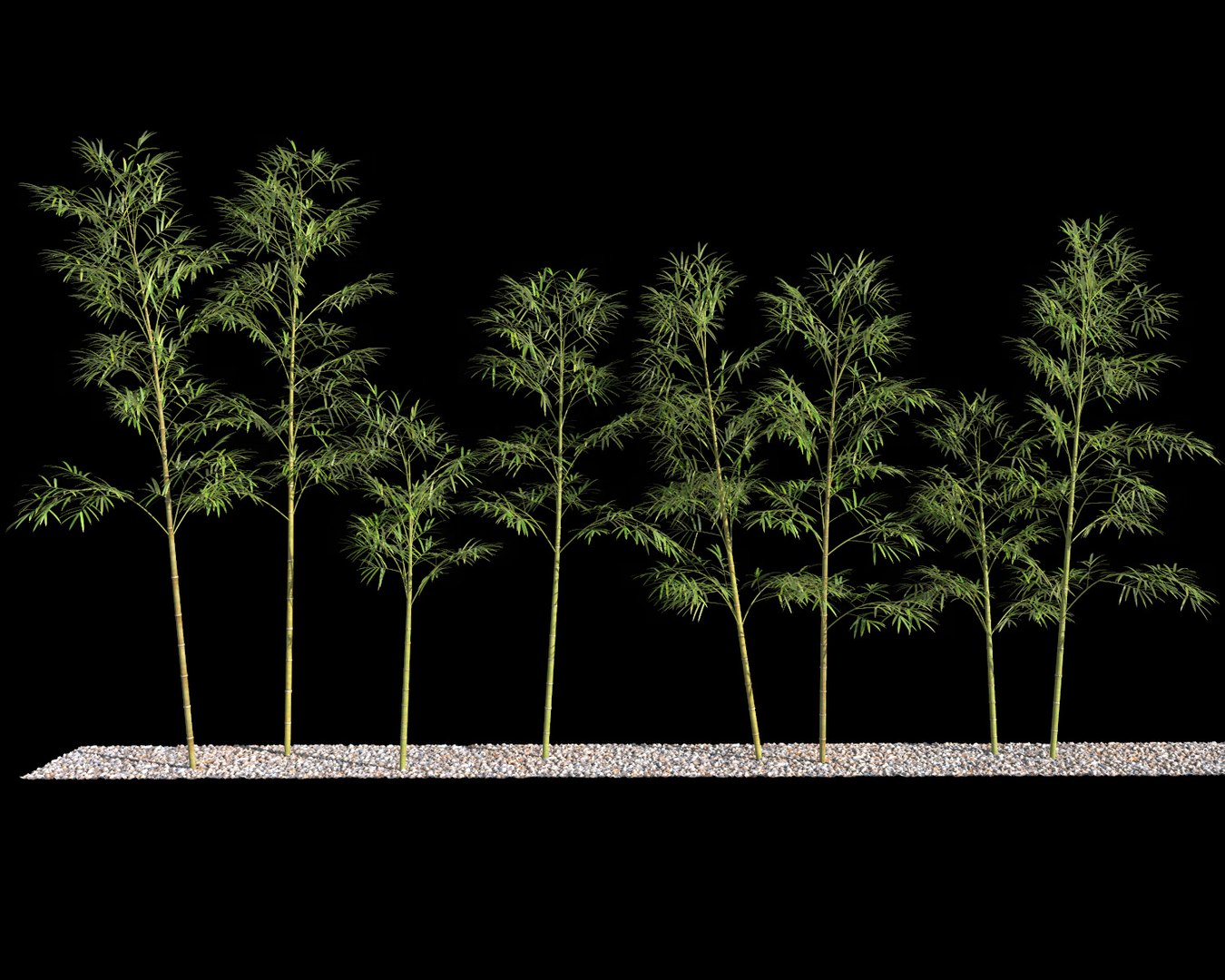 bamboo trees 4 3d max https://p.turbosquid.com/ts-thumb/rJ/spIwy2/IwTPYGCK/btree_46/jpg/1490563785/1920x1080/fit_q87/a38eadce9e5aa9c8ce23a98c0f4fb234cba2f563/btree_46.jpg