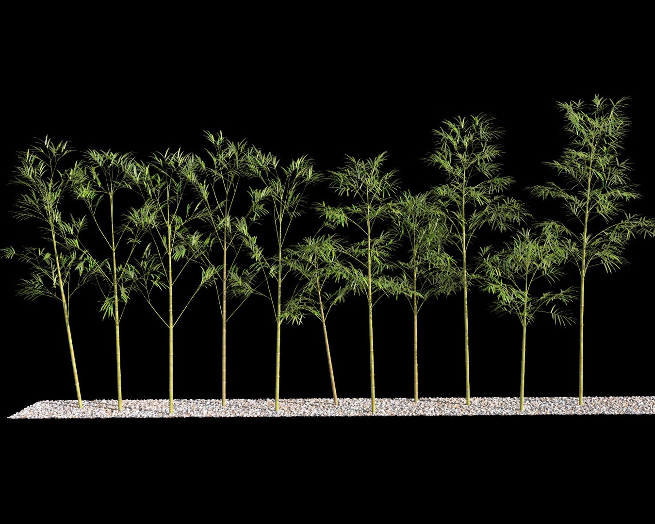 bamboo trees 4 3d max https://p.turbosquid.com/ts-thumb/rJ/spIwy2/JsXJfr5o/btree_45/jpg/1490563785/1920x1080/fit_q87/540791b325f78b85b0d3c9644ecd14c94a61fe7a/btree_45.jpg