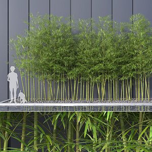 bamboo trees 4 3d max