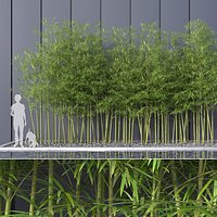 Bamboo Trees 4 (+GrowFX)