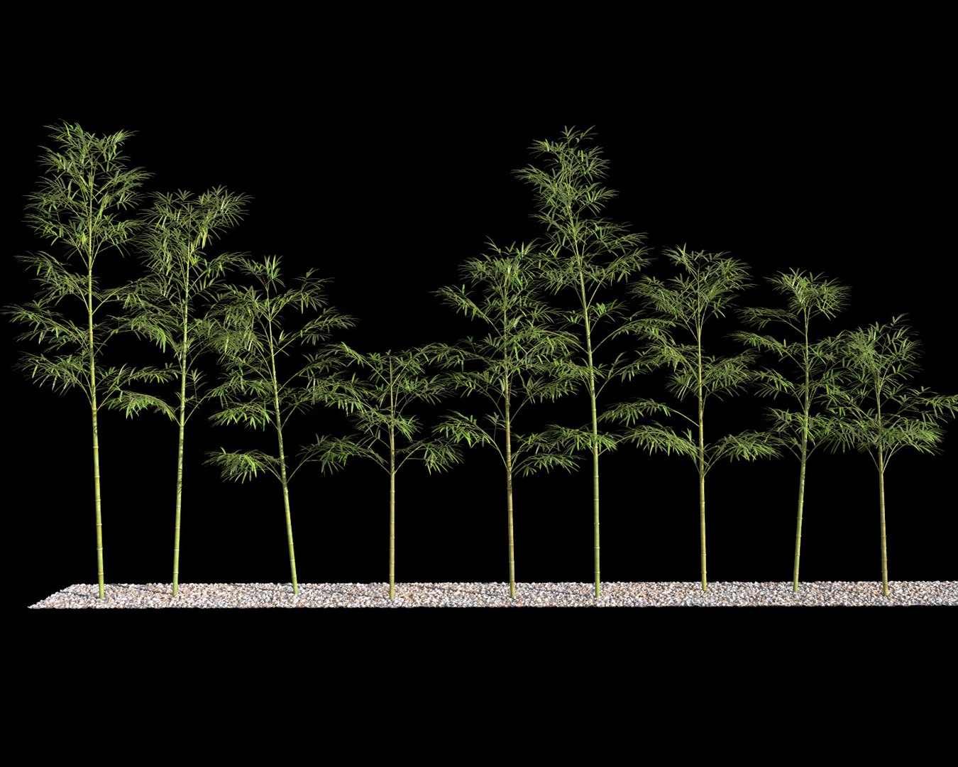 bamboo trees 4 3d max https://p.turbosquid.com/ts-thumb/rJ/spIwy2/kMSvjg1j/btree_47/jpg/1490563785/1920x1080/fit_q87/0c07cb0eee3f7095baff5f601f6e57a01ab9f1a6/btree_47.jpg