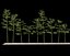 Bamboo Trees 4 (+GrowFX)