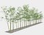 Bamboo Trees 4 (+GrowFX)