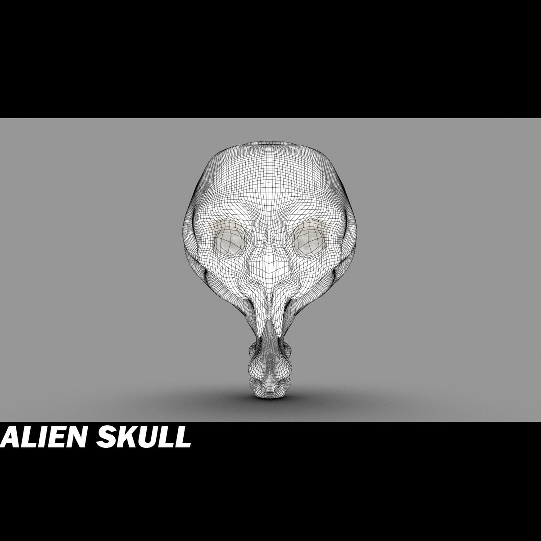 Alien Skull 3d Model