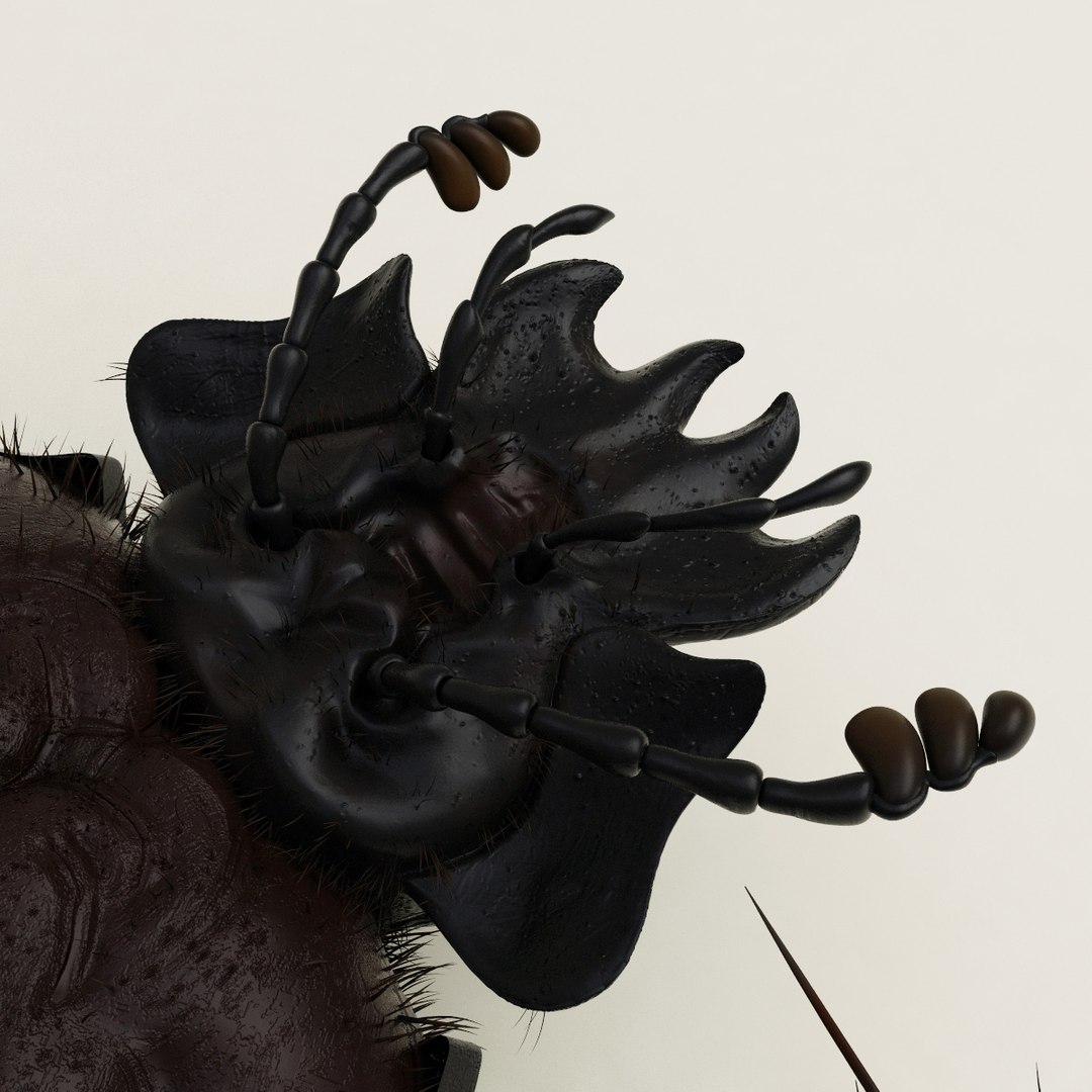 max dung beetle https://p.turbosquid.com/ts-thumb/rJ/uQVh1C/6w8IIHFt/dung_beetle_24/jpg/1315488622/1920x1080/fit_q87/e20b5936405675479057a1bc753927f7325505aa/dung_beetle_24.jpg