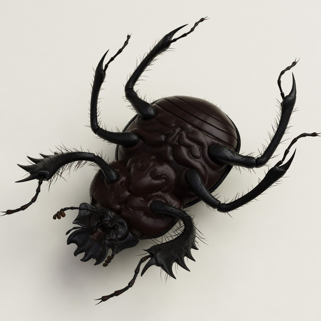 max dung beetle https://p.turbosquid.com/ts-thumb/rJ/uQVh1C/9IJRDOl1/dung_beetle_17/jpg/1315488622/1920x1080/fit_q87/f866ea25b05c9b60f8bc7166b6d454c064166cc3/dung_beetle_17.jpg