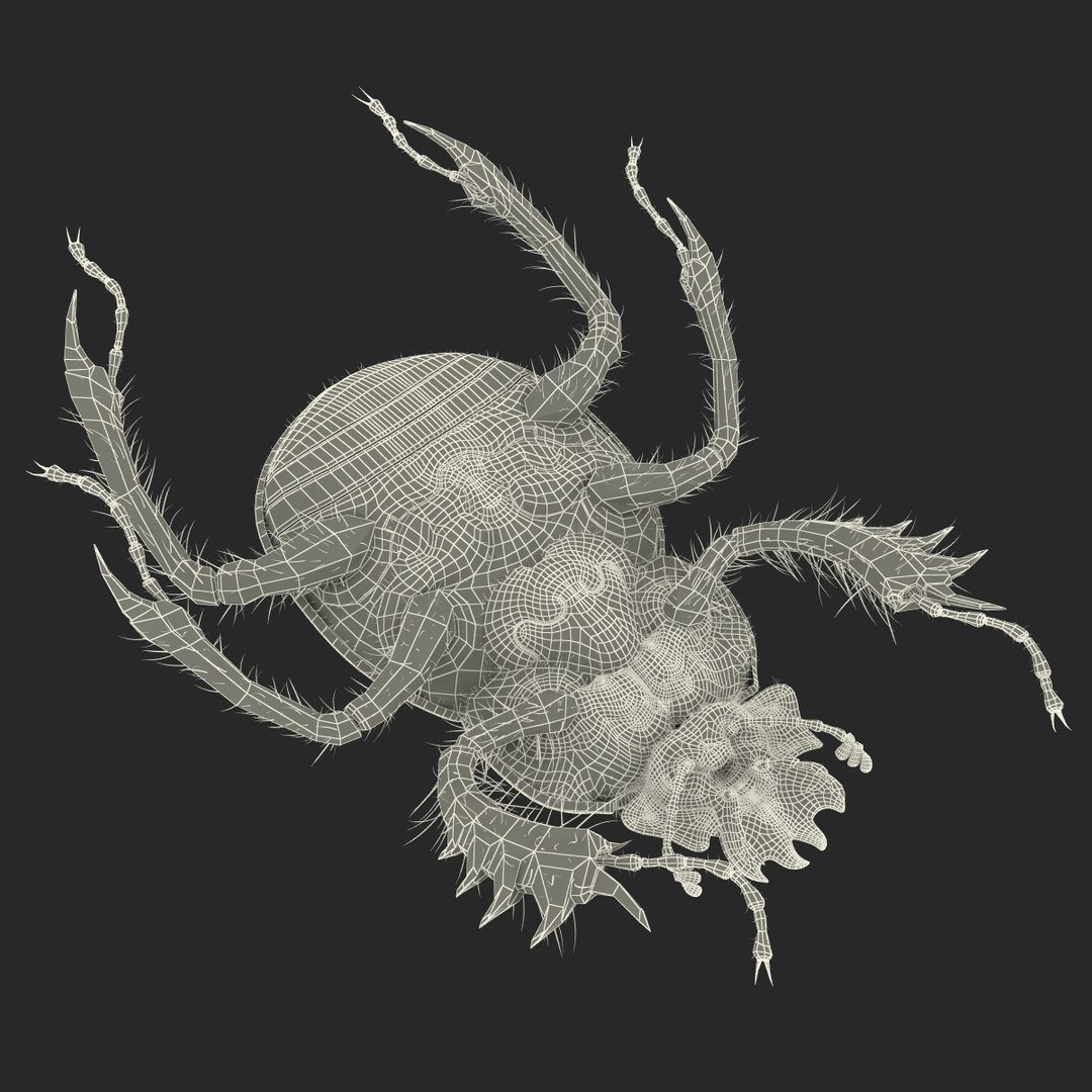 max dung beetle https://p.turbosquid.com/ts-thumb/rJ/uQVh1C/ApiGhh9y/dung_beetle_30/jpg/1315488622/1920x1080/fit_q87/710fc8b0ad603c56121a3c0d070a87cd16e89831/dung_beetle_30.jpg