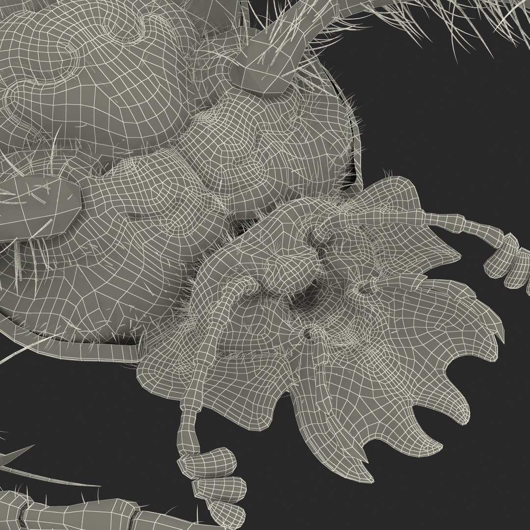 max dung beetle https://p.turbosquid.com/ts-thumb/rJ/uQVh1C/yCzs3p5R/dung_beetle_32/jpg/1315488622/1920x1080/fit_q87/270d106bb67307ec94504fff4a8ef66fe86896c1/dung_beetle_32.jpg