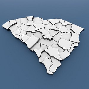 South Carolina Counties - Map of United States of America USA 3D