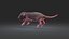 Rat Baby Newborn 3