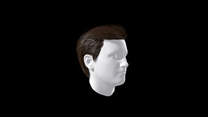Male Hair Wig
