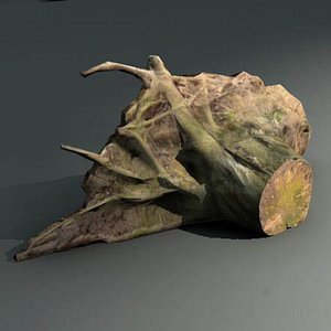 Stump model with texture and LOD