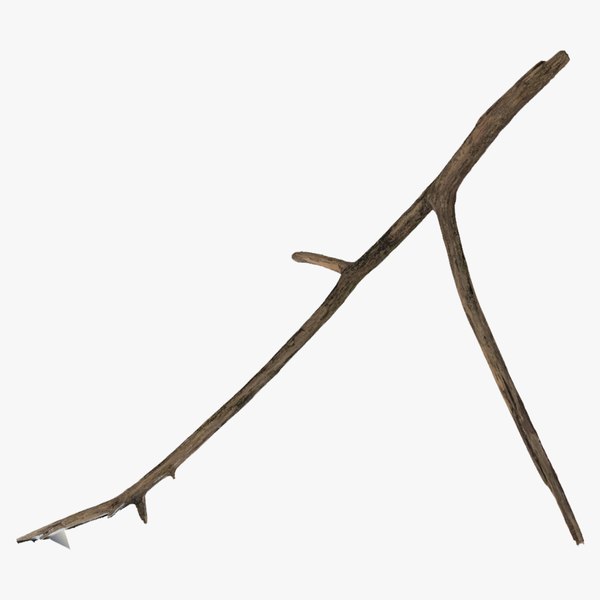 Broken Branch 03 RAW Scan 3D model