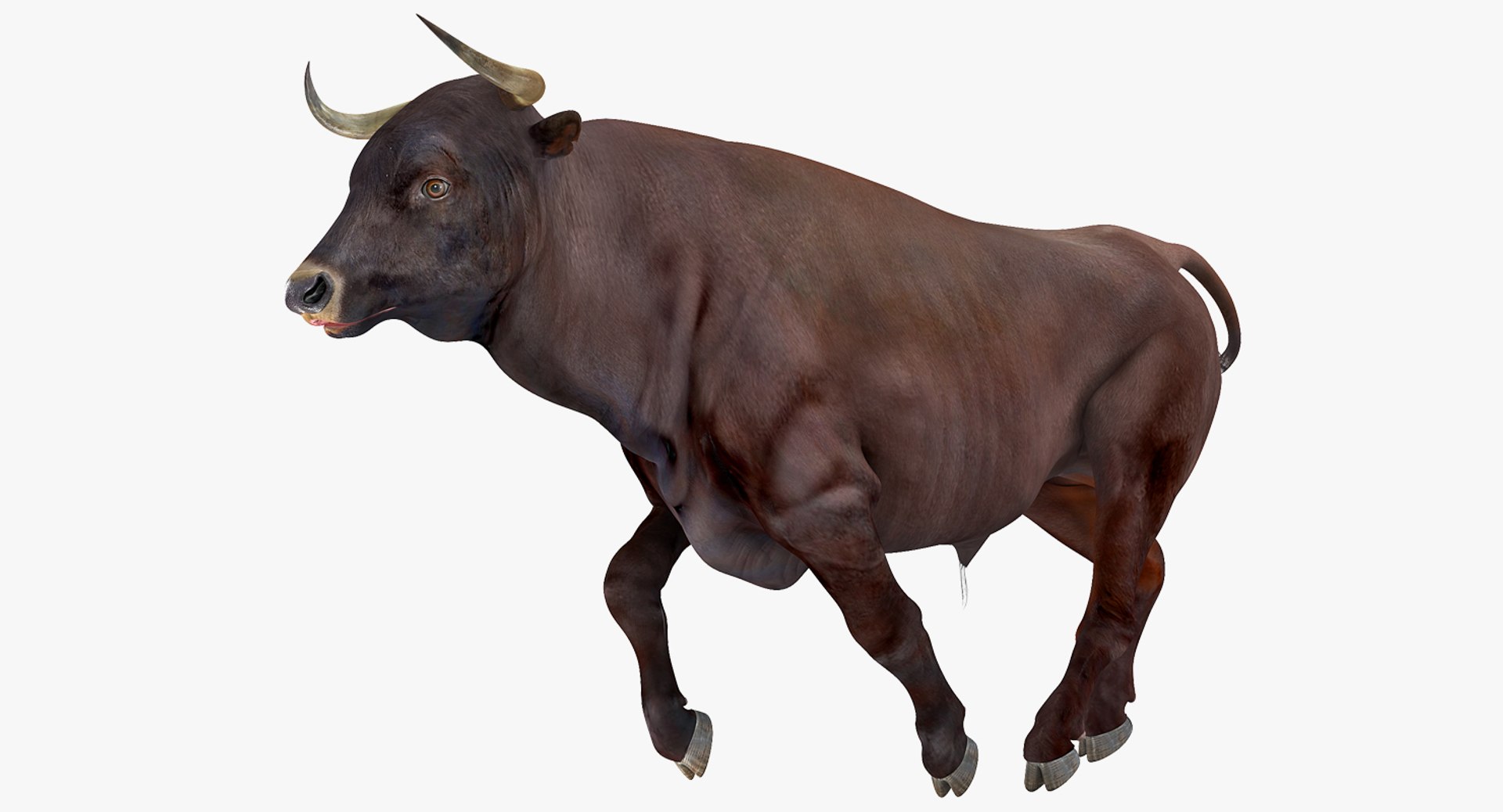 Bull Running Pose 3D Model 3D model preview
