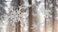 Intricate Snowflake