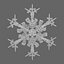 Intricate Snowflake