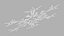 Intricate Snowflake