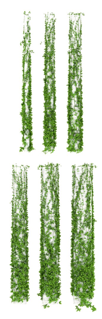 Leaves Column 6 3d Model