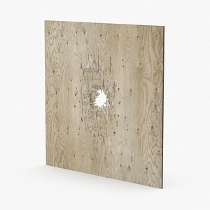 Bullet Hole Through Plywood