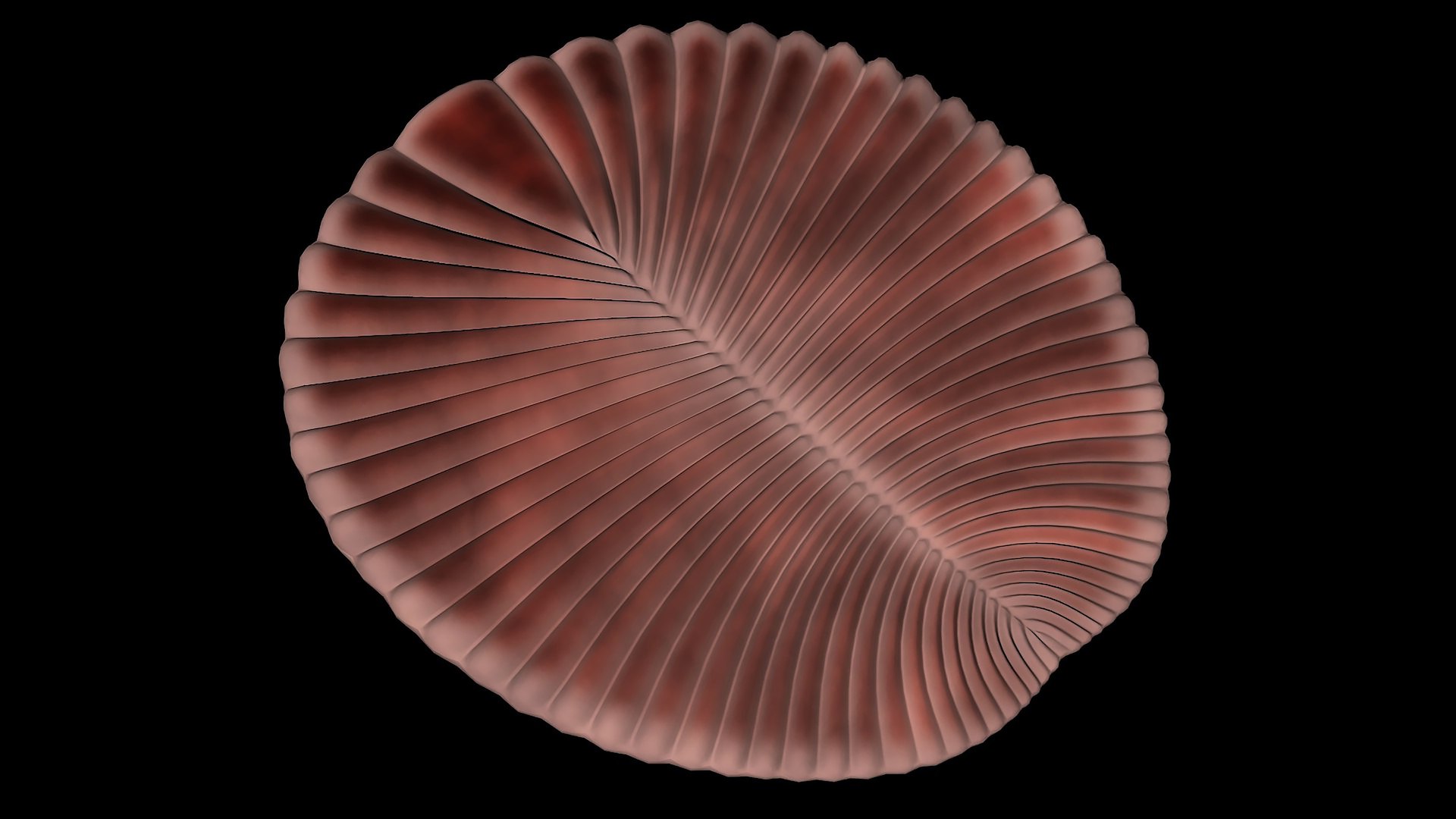 3D animal dickinsonia https://p.turbosquid.com/ts-thumb/rK/VKaV5d/b4/r01556/jpg/1739341569/1920x1080/fit_q87/d111516cfe02d278b2c33881a816757123f75201/r01556.jpg