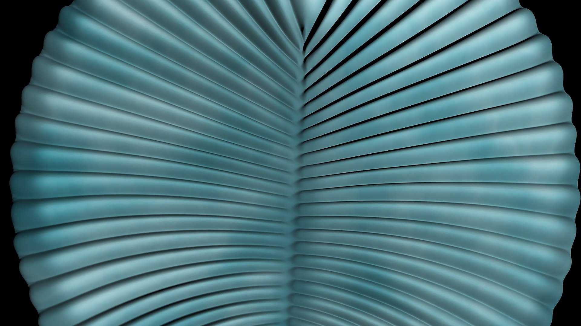 3D animal dickinsonia https://p.turbosquid.com/ts-thumb/rK/VKaV5d/oF/r05/jpg/1739341462/1920x1080/fit_q87/43224e805e03f86a667c23ea490d99bed9fe6675/r05.jpg
