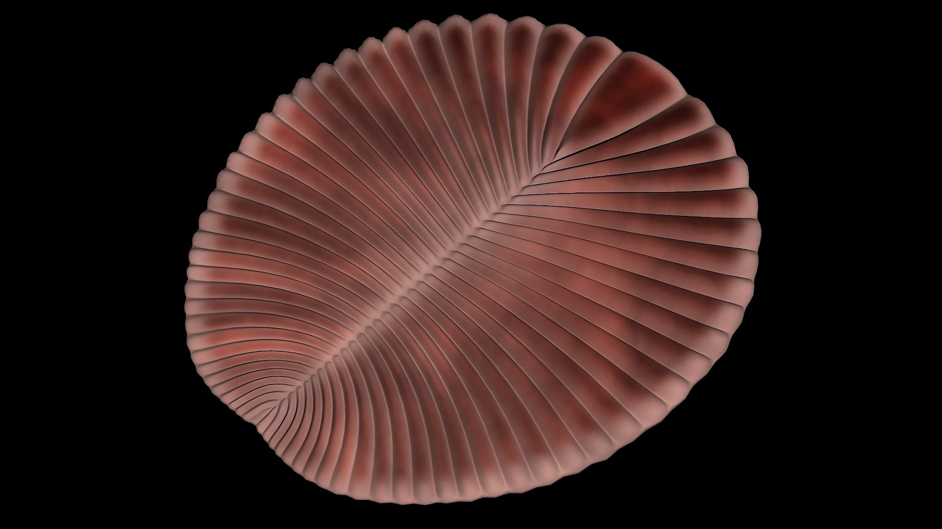 3D animal dickinsonia https://p.turbosquid.com/ts-thumb/rK/VKaV5d/qy/r01/jpg/1739341457/1920x1080/fit_q87/b56e4ab6f71caef65cbddc72b6896c2f7b59f3d7/r01.jpg
