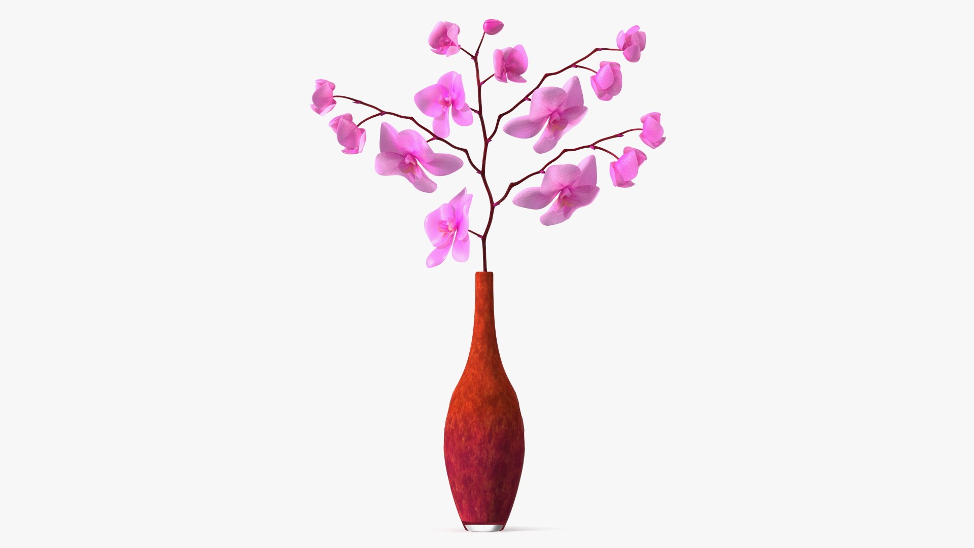 Glass Vase with Pink Phalaenopsis Orchid 3D model preview