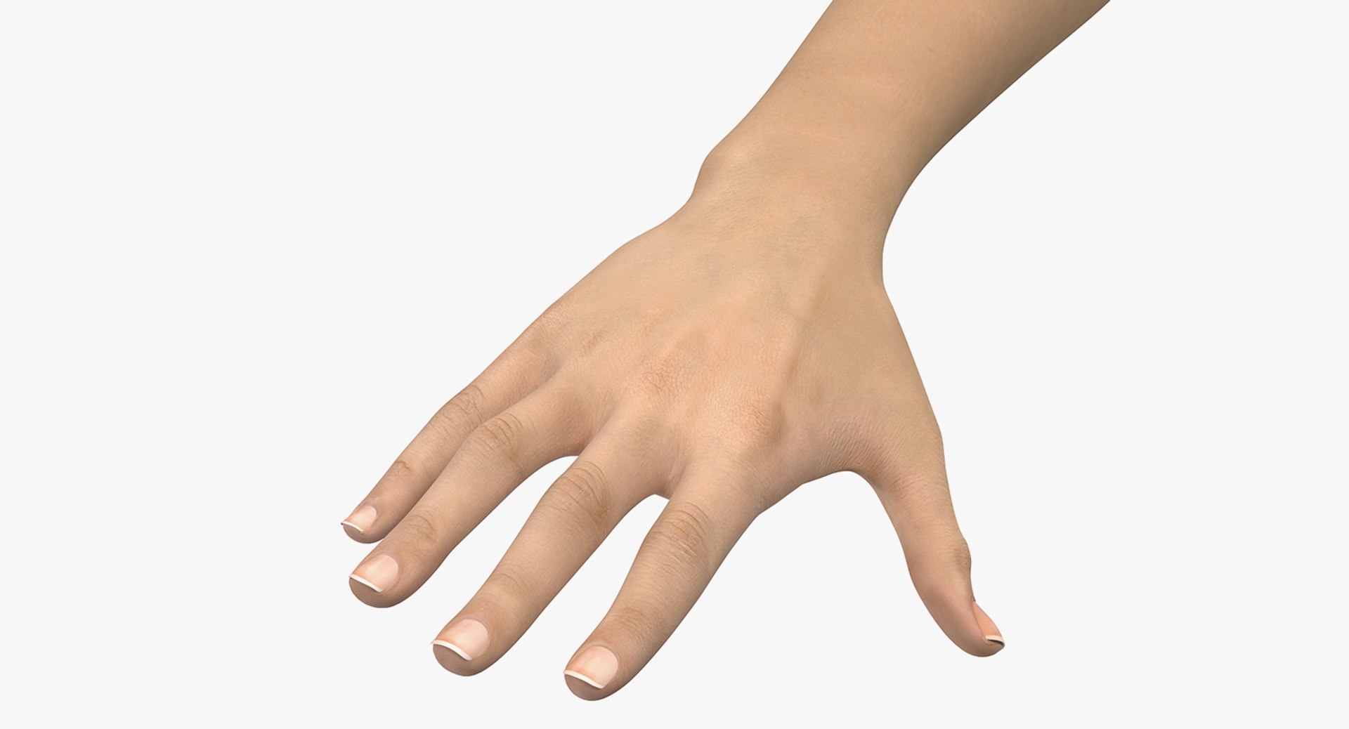 Caucasian Female Hand 3D Model 3D model preview