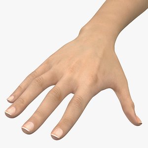Caucasian Female Hand 3D Model