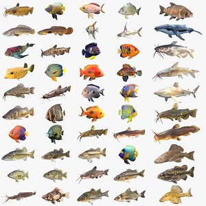 50 Fish Sea Creatures Collection v4