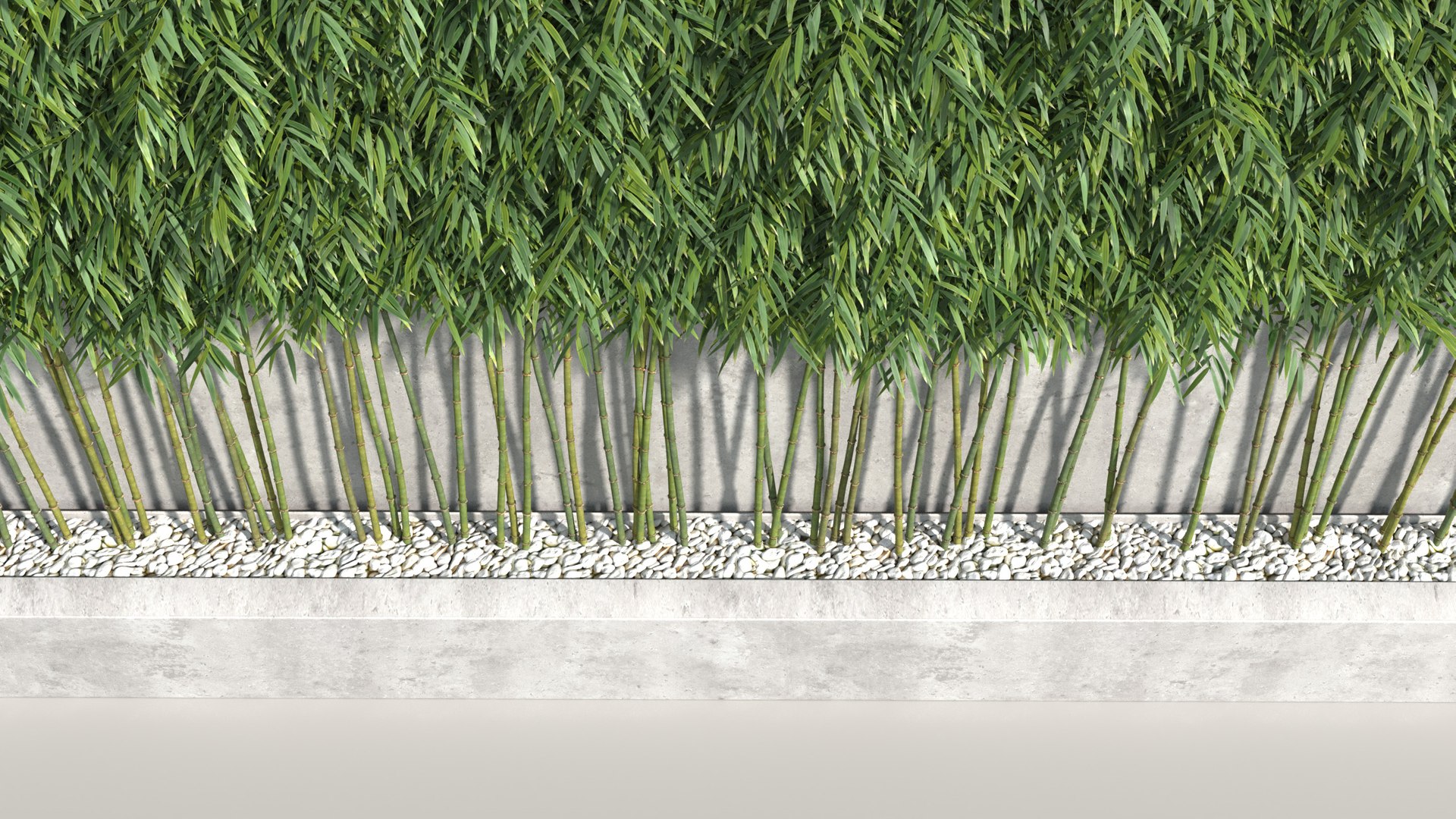 bamboo plants 2 fargesia model https://p.turbosquid.com/ts-thumb/rL/3iq56w/6IvqRA2C/bamboo7/jpg/1583162433/1920x1080/fit_q87/4c3cb9e117aa15d864b9cdd18c9f7face587fabc/bamboo7.jpg