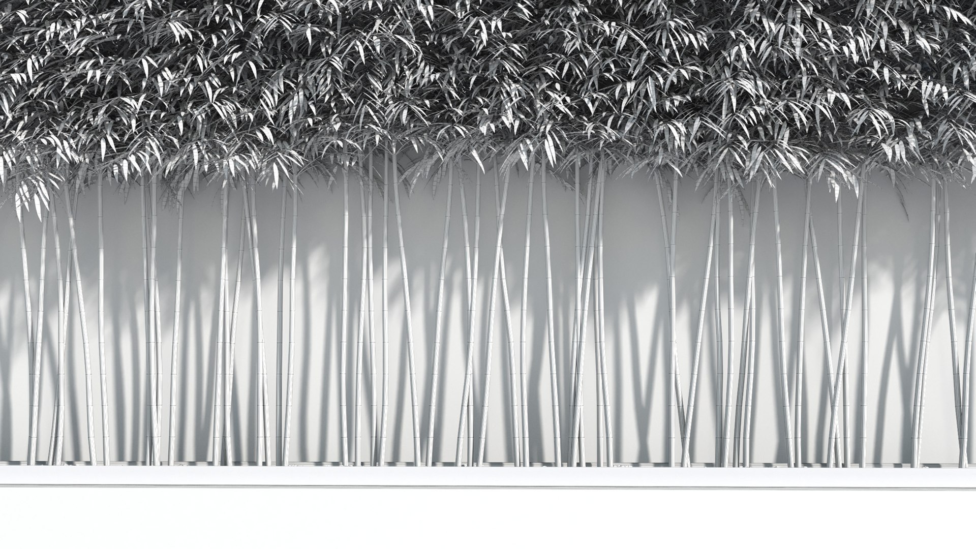 bamboo plants 2 fargesia model https://p.turbosquid.com/ts-thumb/rL/3iq56w/CnZ2f7UU/bamboo8/jpg/1583162433/1920x1080/fit_q87/4c1edde0ef545e6e9683145e51b53a56bdee2add/bamboo8.jpg