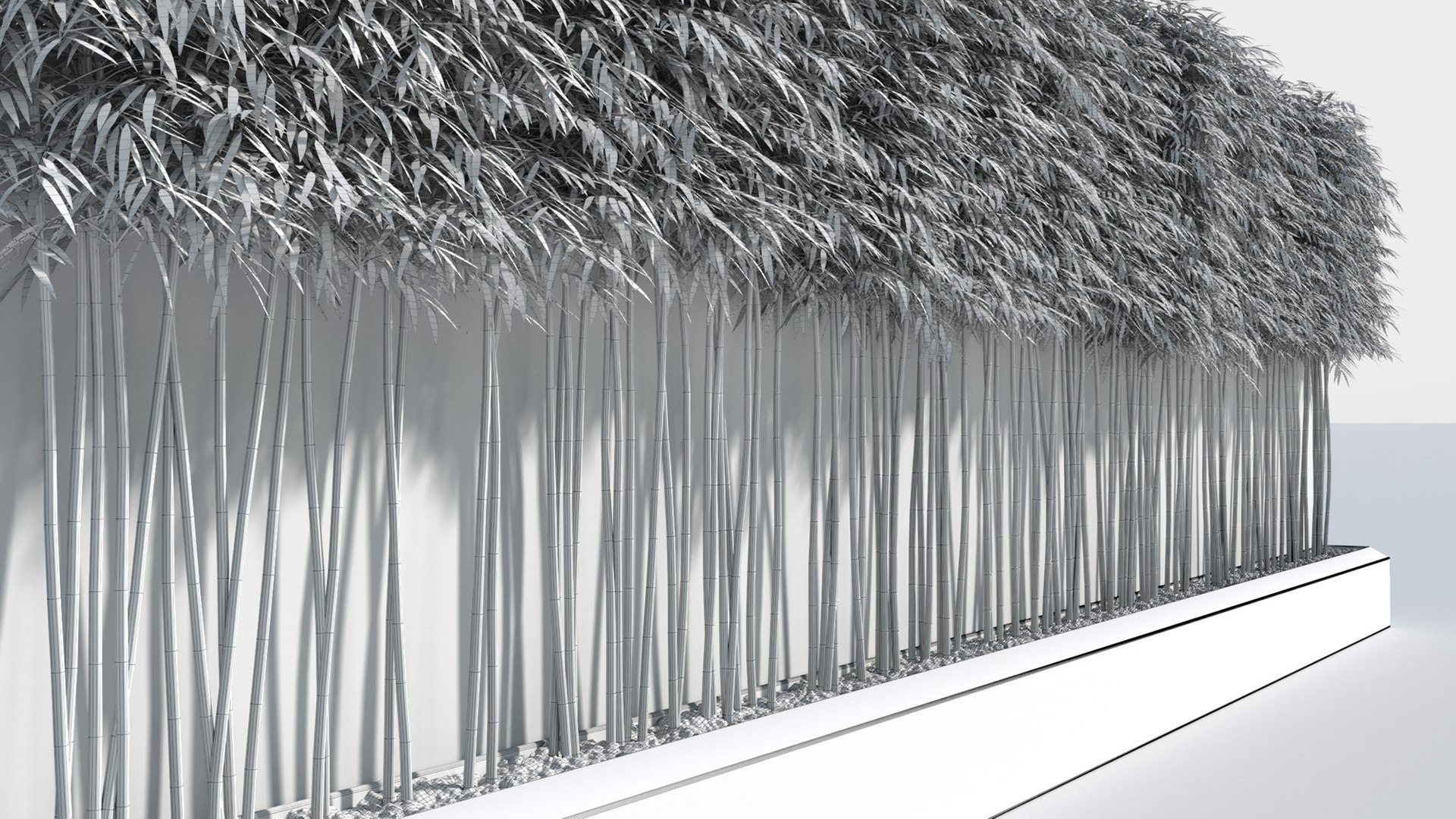bamboo plants 2 fargesia model https://p.turbosquid.com/ts-thumb/rL/3iq56w/ET6hFZyT/bamboo9/jpg/1583162442/1920x1080/fit_q87/0be1bbfde36eef848b654d840314f1f4dda9eeac/bamboo9.jpg