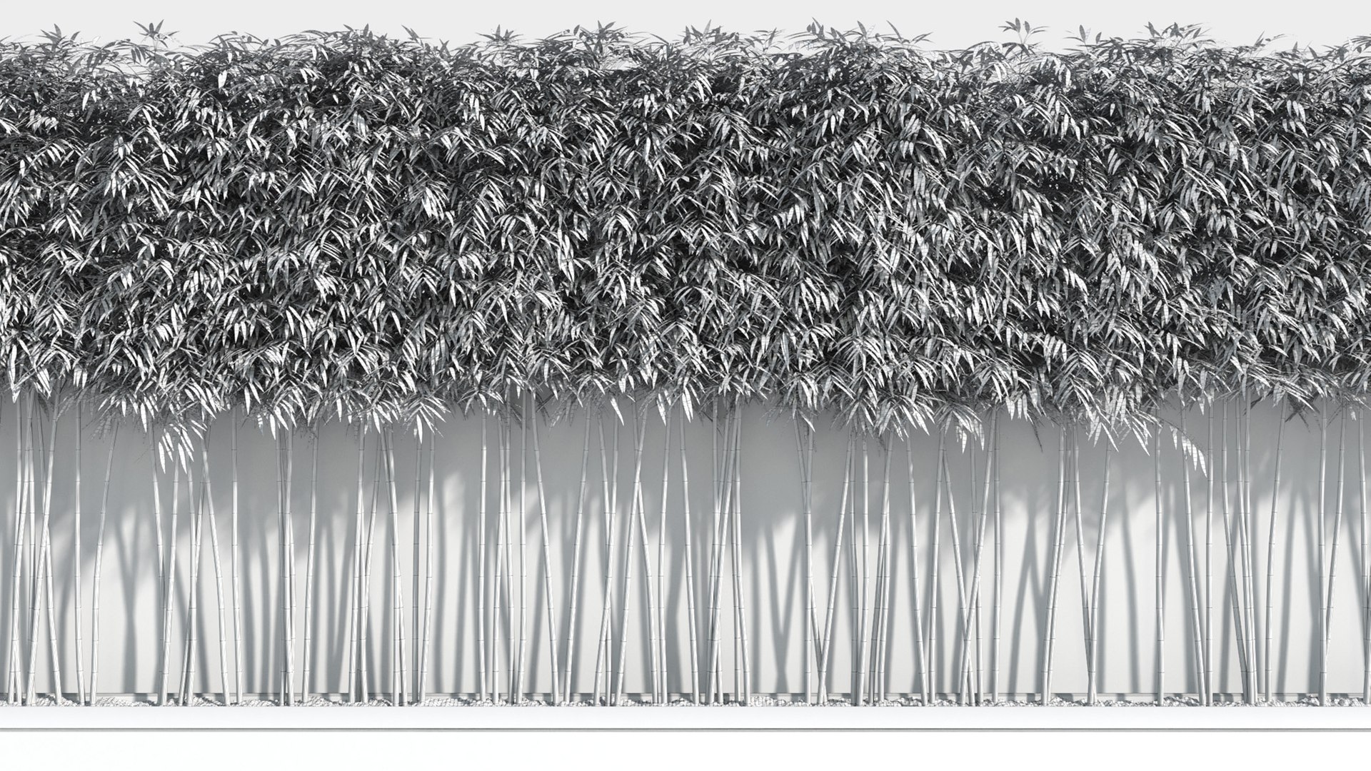 bamboo plants 2 fargesia model https://p.turbosquid.com/ts-thumb/rL/3iq56w/b2ubalHU/bamboo10/jpg/1583162442/1920x1080/fit_q87/21858e876c17248e55cb78871d3c824c6cc4f91c/bamboo10.jpg