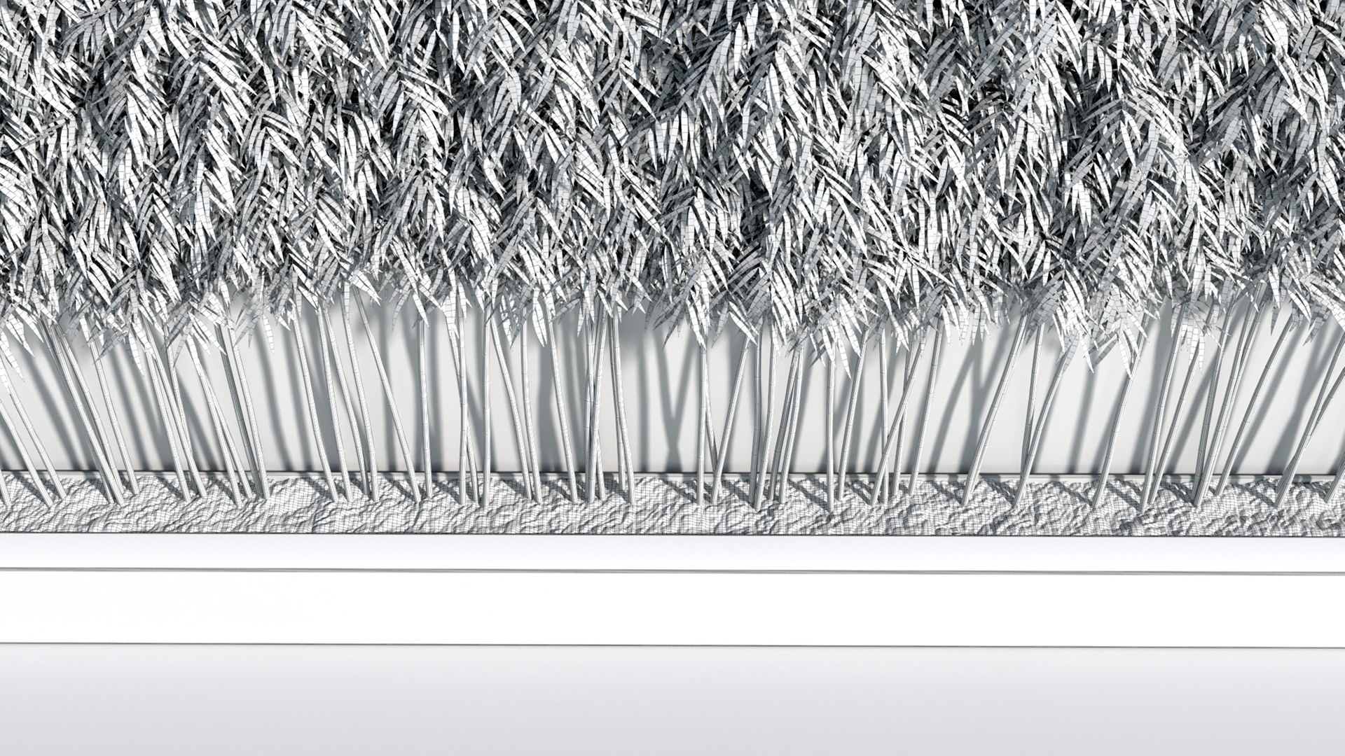 bamboo plants 2 fargesia model https://p.turbosquid.com/ts-thumb/rL/3iq56w/x4MfhyLl/bamboo11/jpg/1583162442/1920x1080/fit_q87/3a4e401abac5257adb82ef5c0e1a70ac8097415d/bamboo11.jpg
