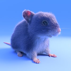 3D grey mouse - fur