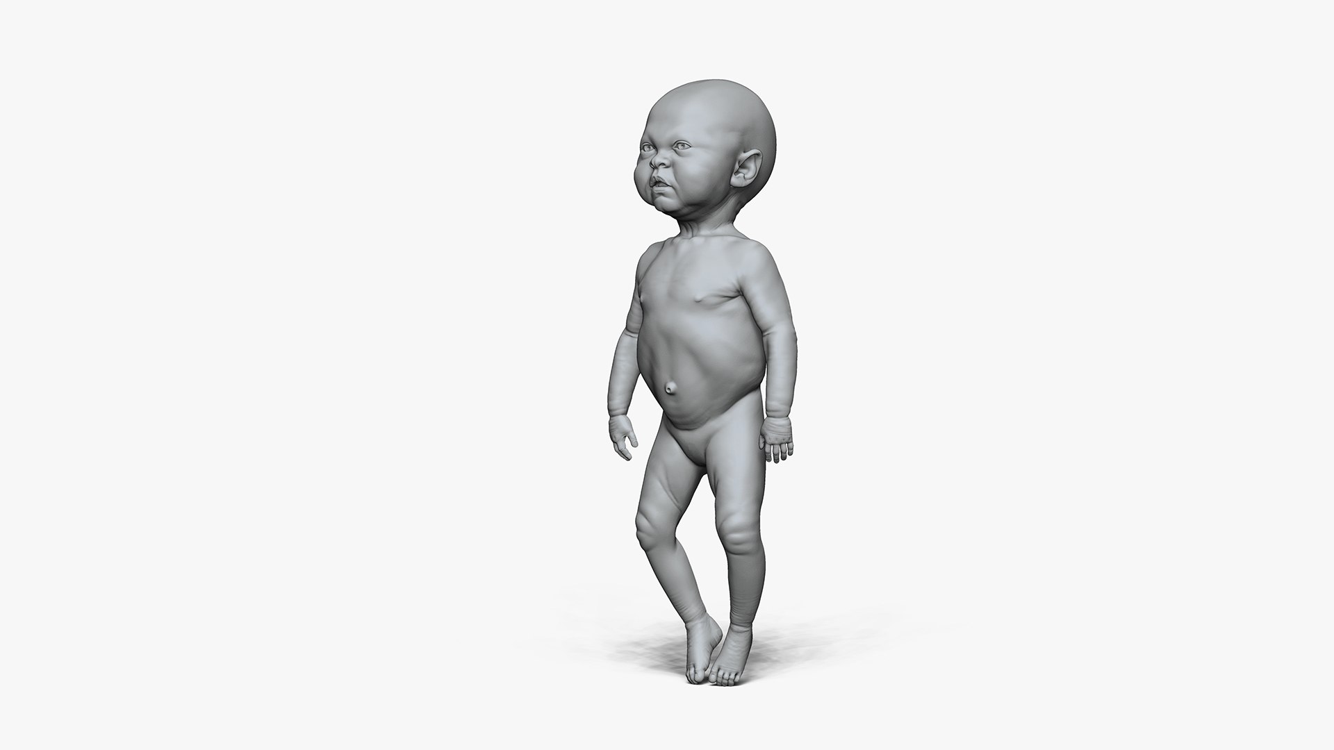 3D Model Anatomy Of Newborn Unisex - TurboSquid 1907117