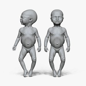 3D model Anatomy of Newborn Unisex
