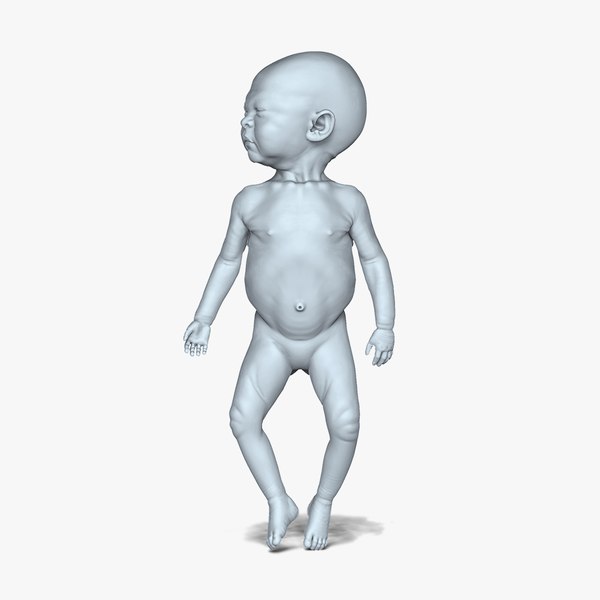 3D model Anatomy of Newborn Unisex - TurboSquid 1907117