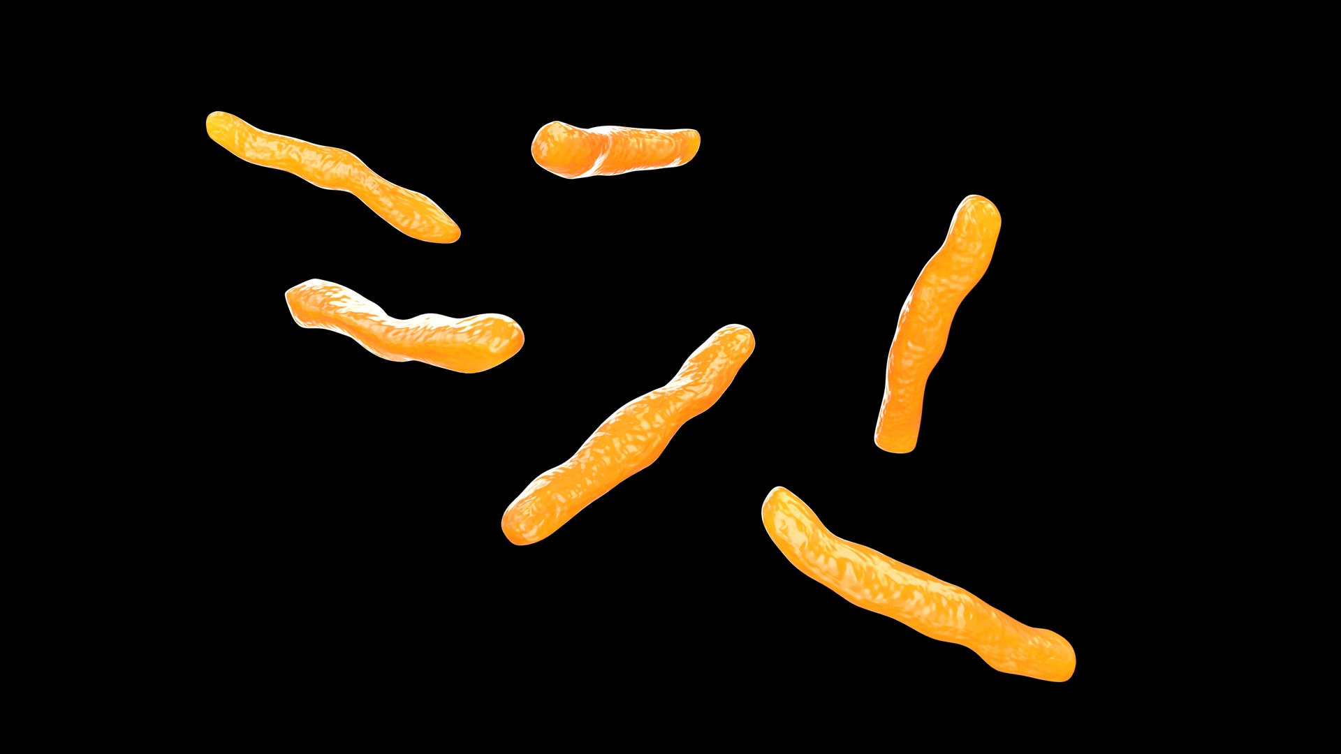 Clostridium 3D Model - TurboSquid 2213926