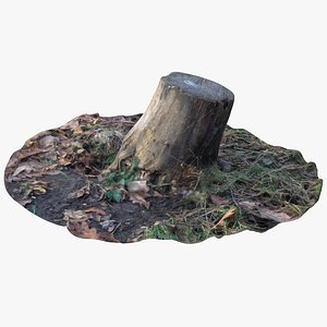 3D oak stump 10 model