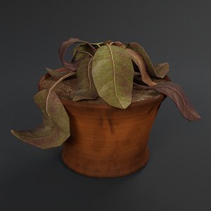3D dry flowerpot model