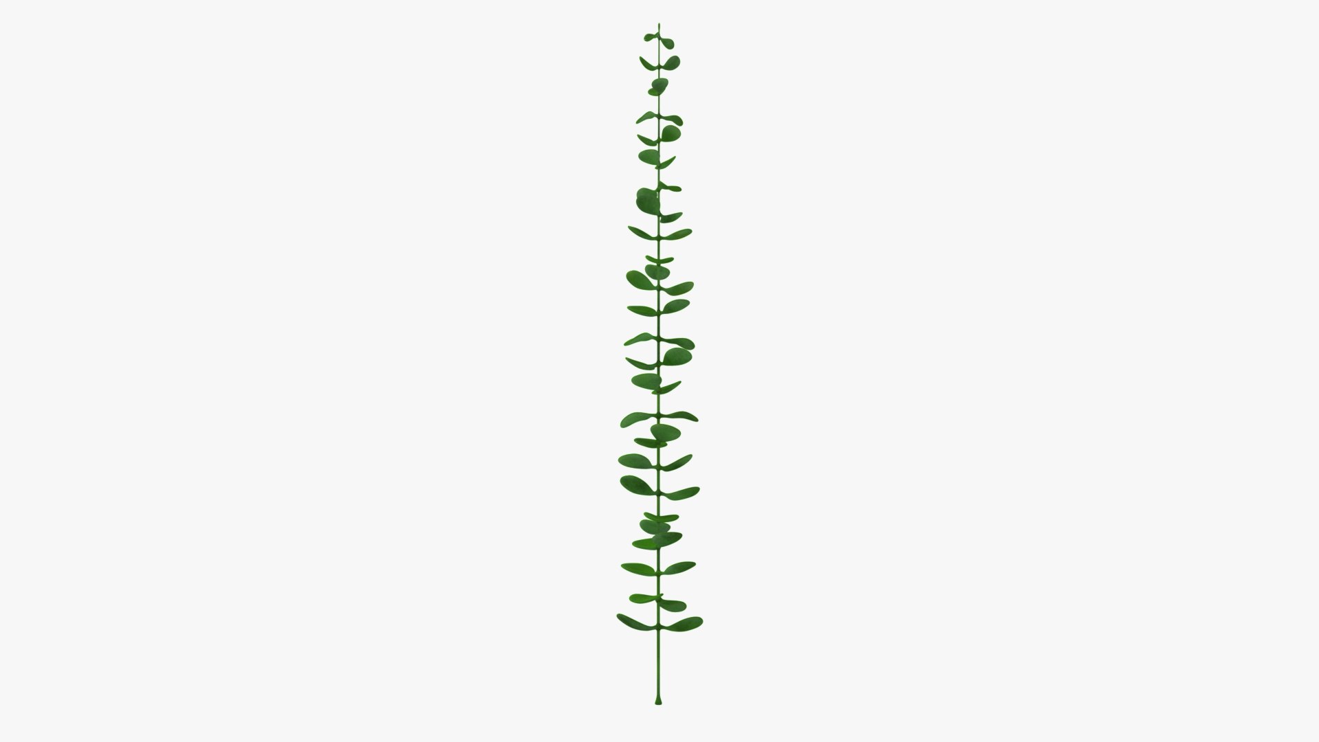 plant animation aquarium rigged 3D model https://p.turbosquid.com/ts-thumb/rL/bTE1tq/dcvQa4kN/plall_product__f/png/1599813697/1920x1080/fit_q87/b7a2f7711d14ee3d63e4467ec8faecb8b194c094/plall_product__f.jpg