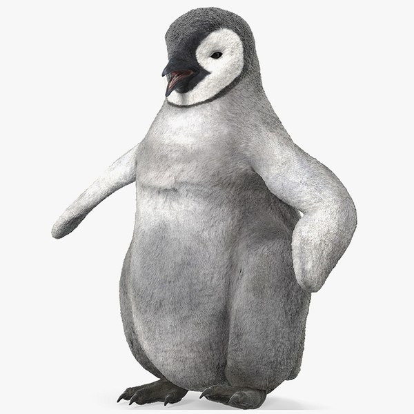 Cinema 4Dに装備された皇帝ペンギンの赤ちゃん3Dモデル