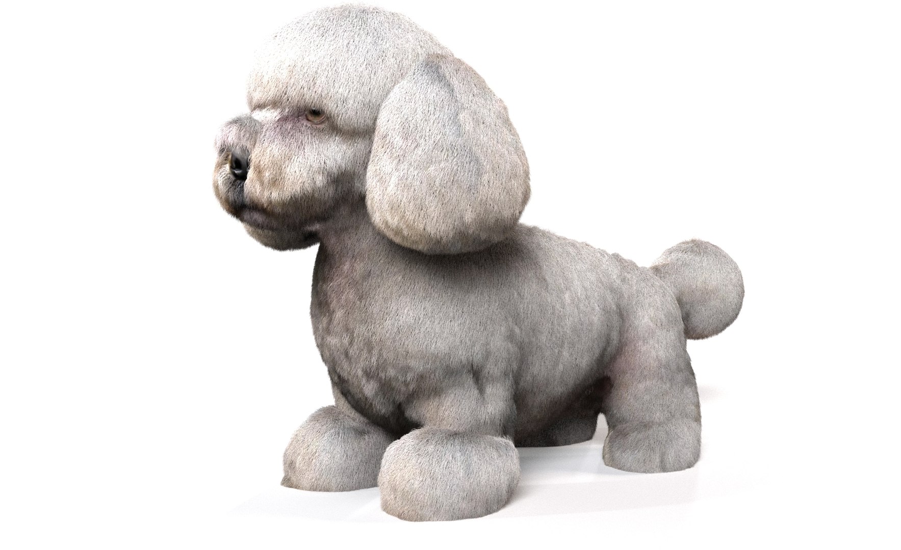Dog Pack model https://p.turbosquid.com/ts-thumb/rL/e7yYw5/Ec/7/jpg/1734359454/1920x1080/fit_q87/3d5fd2da2a0a46543125c7bfaa1d7becd2be2e6f/7.jpg
