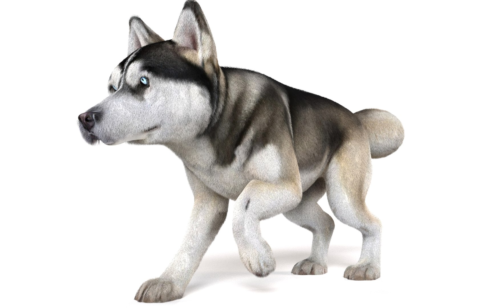 Dog Pack model https://p.turbosquid.com/ts-thumb/rL/e7yYw5/Ii/10/jpg/1734359456/1920x1080/fit_q87/8a6062c2c40450eea9c49341e458fddf87efc863/10.jpg