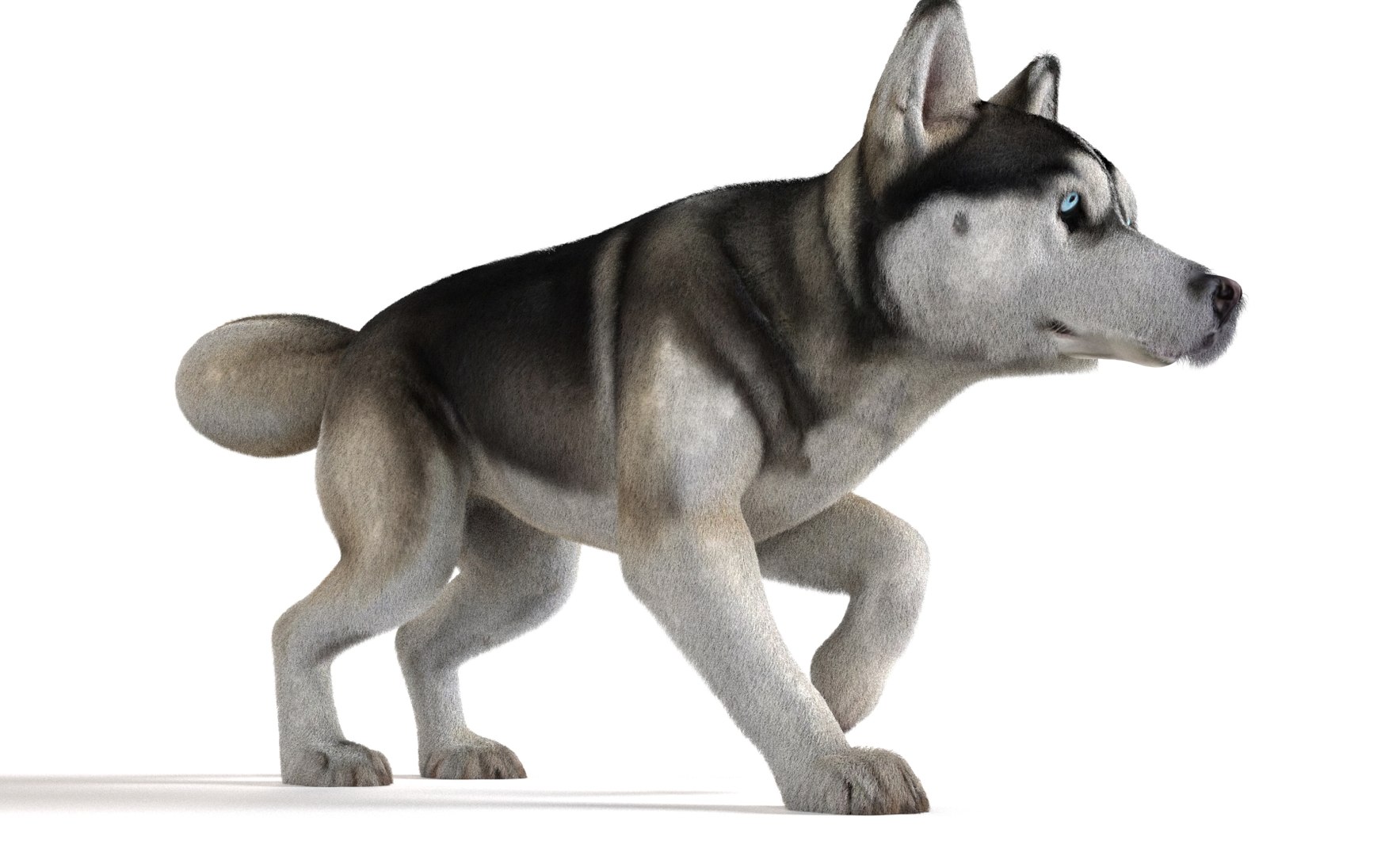 Dog Pack model https://p.turbosquid.com/ts-thumb/rL/e7yYw5/cS/11/jpg/1734359459/1920x1080/fit_q87/b098ad013301451a0739c24598b59f0883e0f794/11.jpg