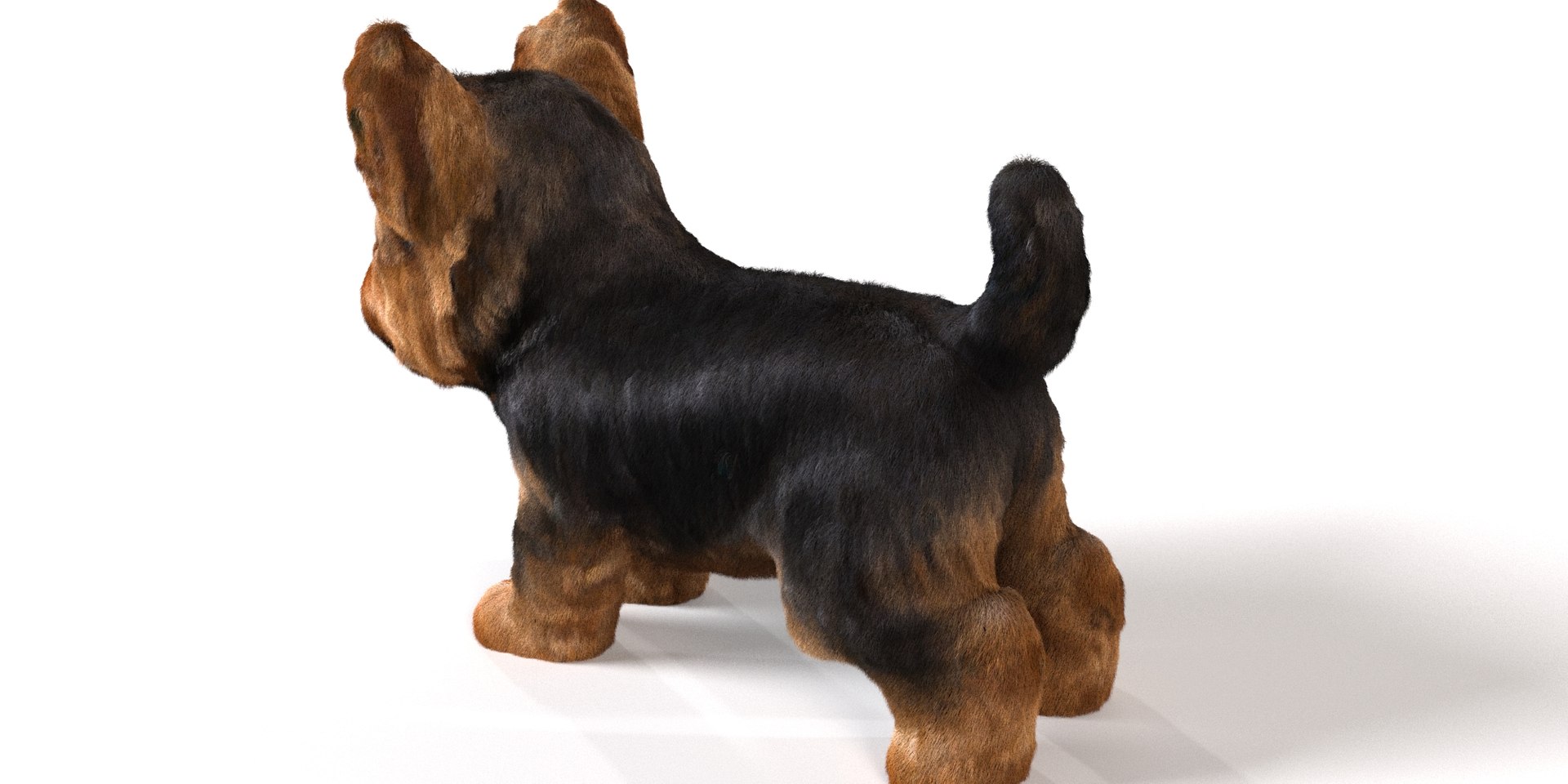 Dog Pack model https://p.turbosquid.com/ts-thumb/rL/e7yYw5/eU/6/jpg/1734359453/1920x1080/fit_q87/7c16fe6e6f47786f02830a487bdad8e455a757d4/6.jpg