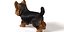Dog Pack