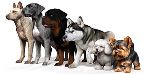 Dog Pack